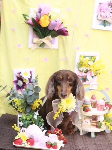 20230308ここあくん